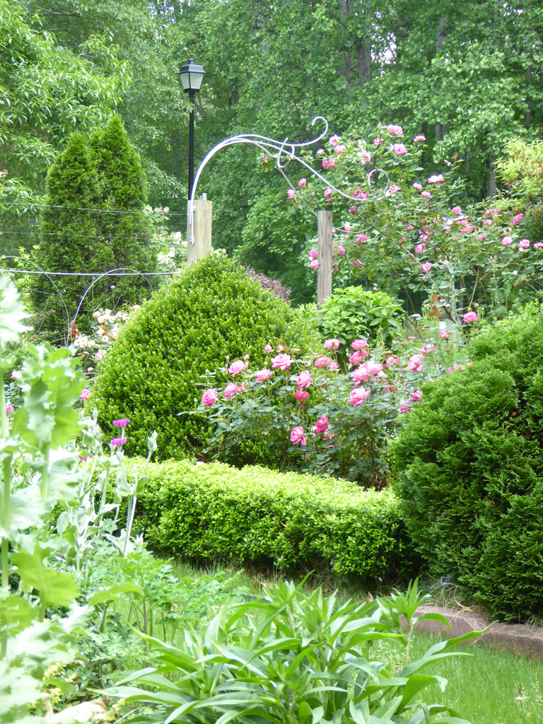 3rd Place Garden - Burke, Jane