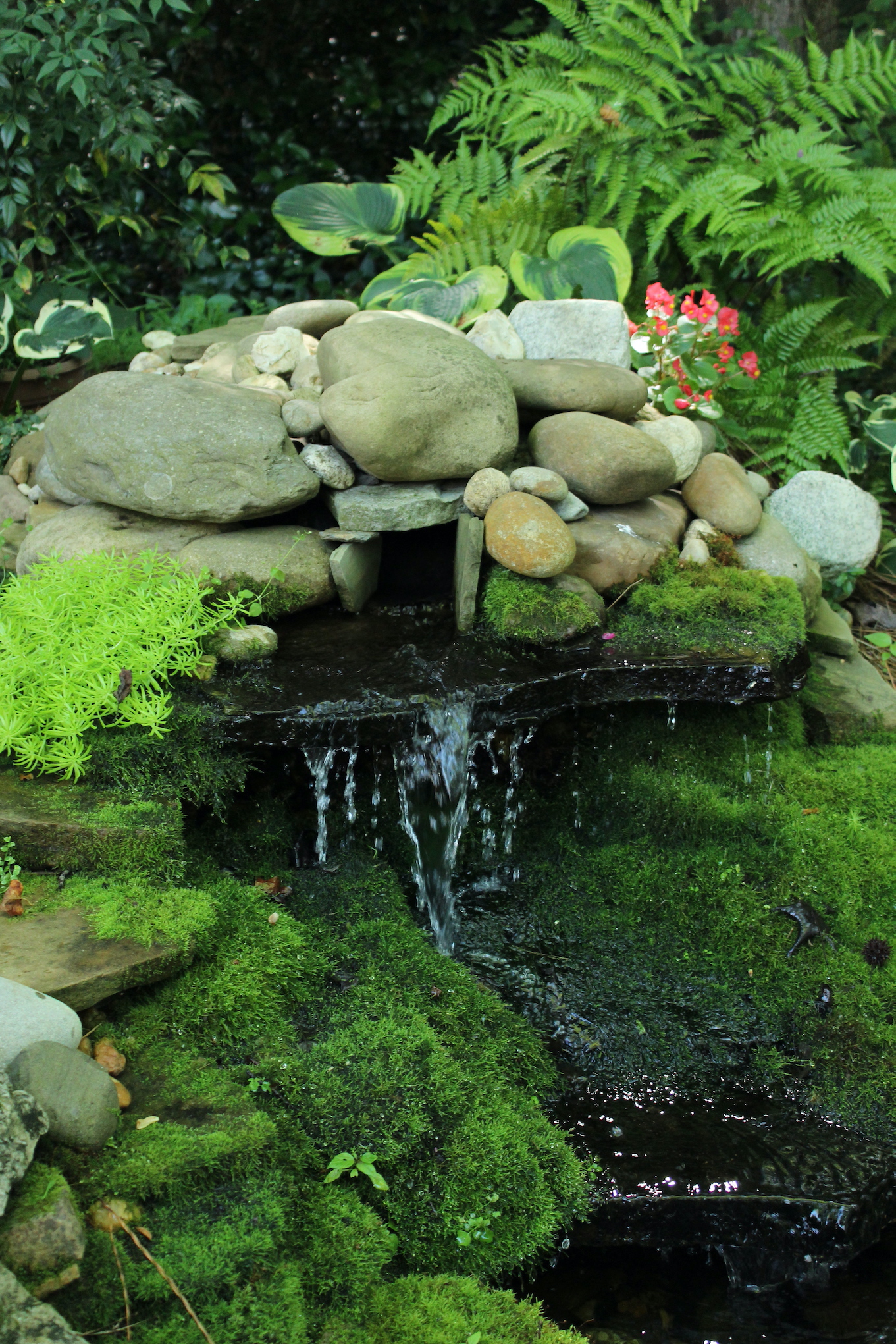 Jones Garden: Cool waterfalls