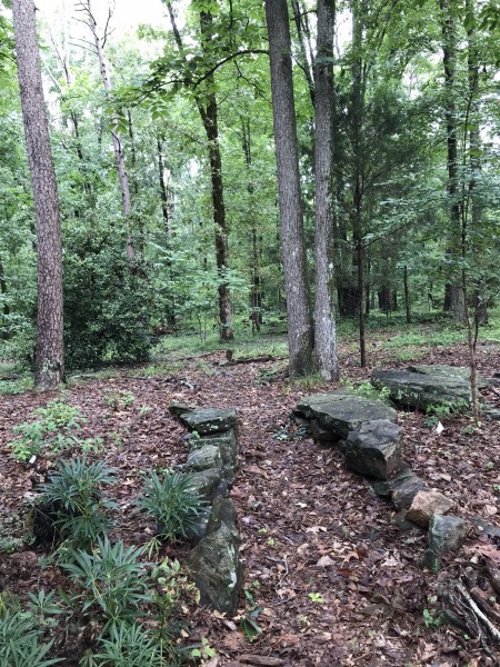 This pathway leads into the woodland garden at the Kistner Center