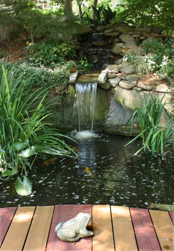 Koi pond and waterfall