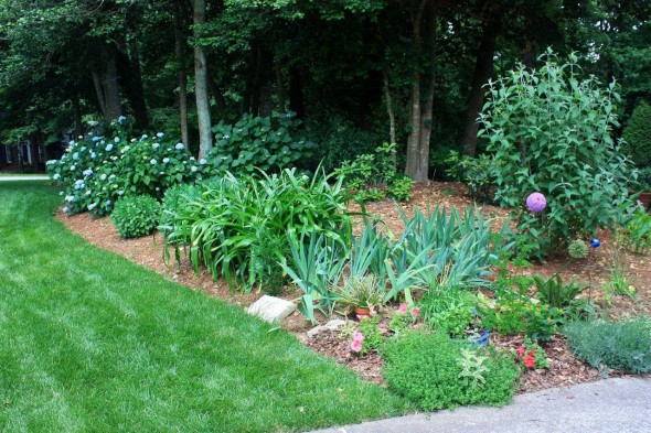 Mixed border
