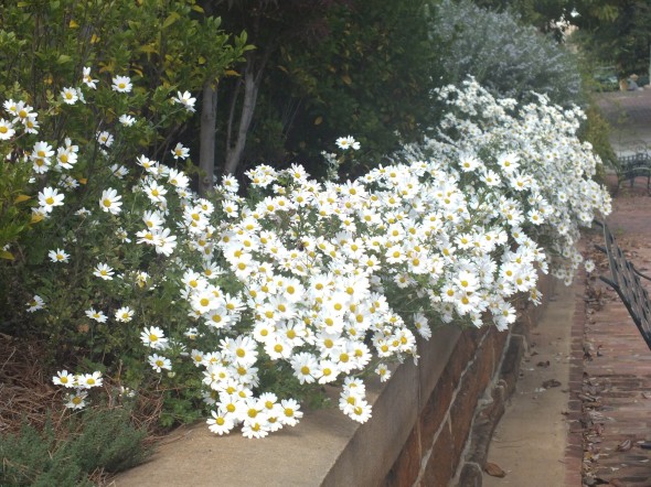 DSCF4269-2