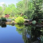1st Place - Garden