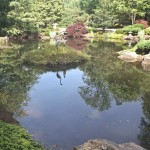 3rd Place - Garden
